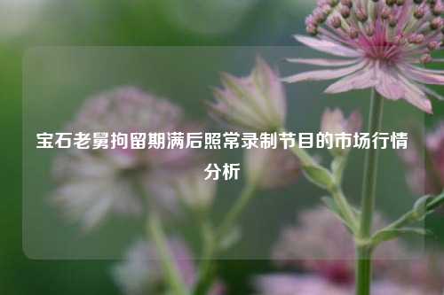 宝石老舅拘留期满后照常录制节目的市场行情分析