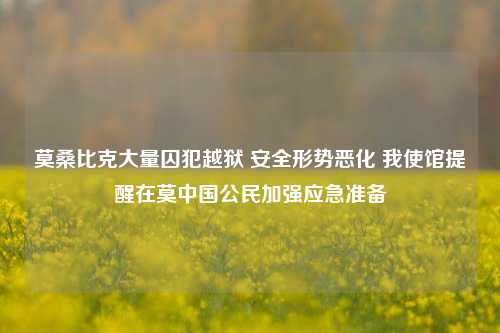 莫桑比克大量囚犯越狱 安全形势恶化 我使馆提醒在莫中国公民加强应急准备