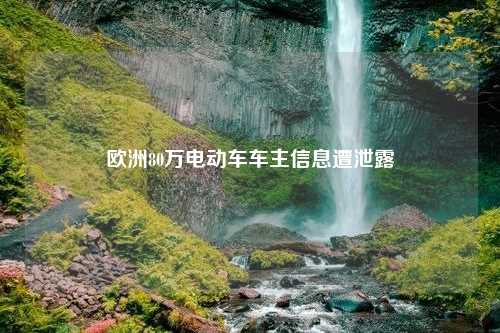 欧洲80万电动车车主信息遭泄露