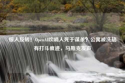 惊人反转！OpenAI吹哨人死于谋杀？公寓被洗劫有打斗痕迹，马斯克发声