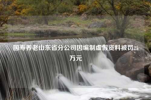 国寿养老山东省分公司因编制虚假资料被罚25万元