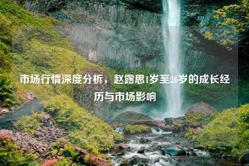 市场行情深度分析，赵露思1岁至26岁的成长经历与市场影响