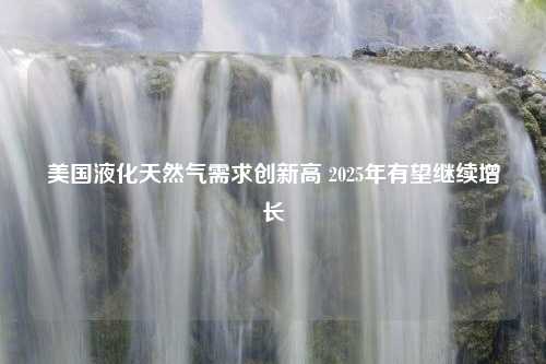 美国液化天然气需求创新高 2025年有望继续增长