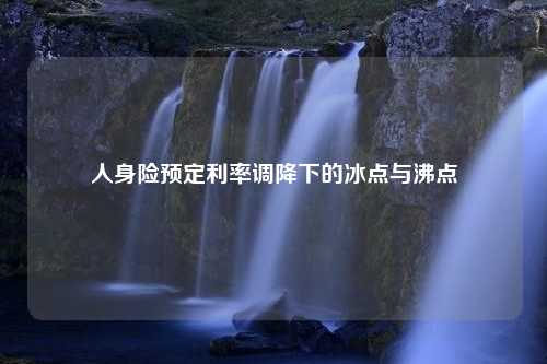 人身险预定利率调降下的冰点与沸点