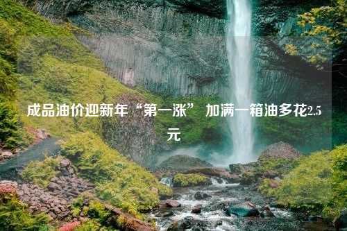 成品油价迎新年“第一涨” 加满一箱油多花2.5元