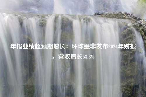 年报业绩超预期增长：环球墨非发布2024年财报，营收增长53.8%