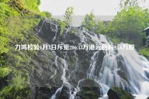 力鸿检验1月3日斥资206.43万港元回购93.6万股