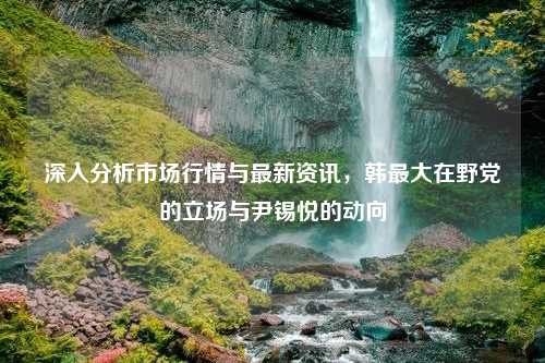 深入分析市场行情与最新资讯，韩最大在野党的立场与尹锡悦的动向