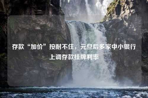 存款“加价”按耐不住，元旦后多家中小银行上调存款挂牌利率