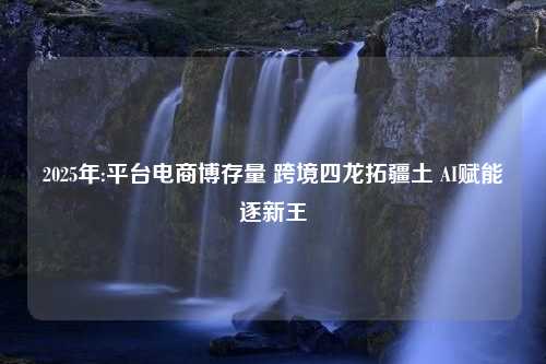 2025年:平台电商博存量 跨境四龙拓疆土 AI赋能逐新王