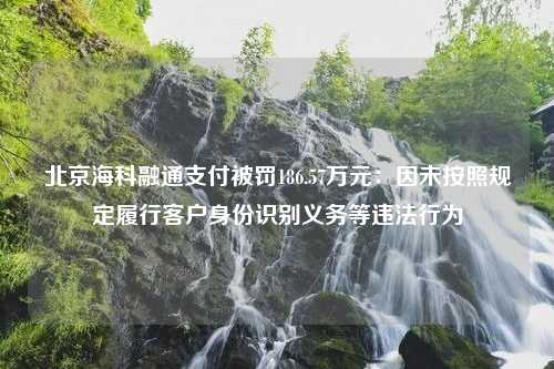 北京海科融通支付被罚186.57万元：因未按照规定履行客户身份识别义务等违法行为