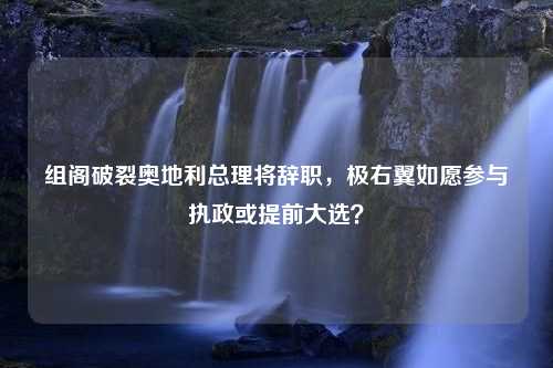 组阁破裂奥地利总理将辞职，极右翼如愿参与执政或提前大选？