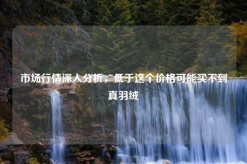 市场行情深入分析，低于这个价格可能买不到真羽绒