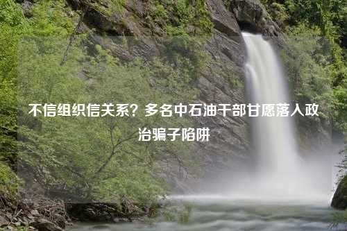 不信组织信关系？多名中石油干部甘愿落入政治骗子陷阱