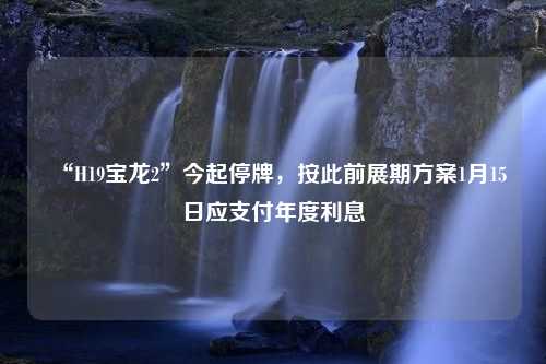 “H19宝龙2”今起停牌，按此前展期方案1月15日应支付年度利息