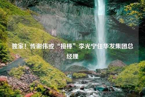 独家！传谢伟或“接棒”李光宁任华发集团总经理