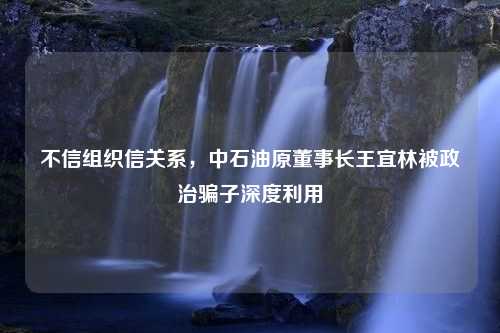 不信组织信关系，中石油原董事长王宜林被政治骗子深度利用