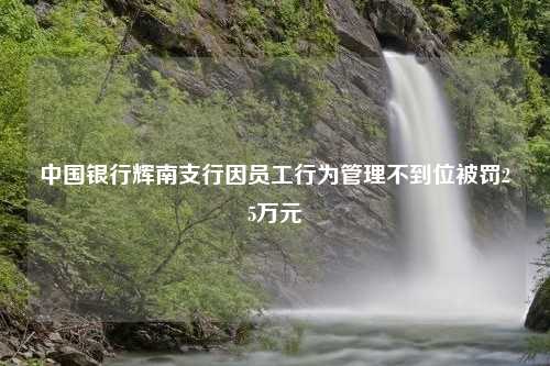 中国银行辉南支行因员工行为管理不到位被罚25万元