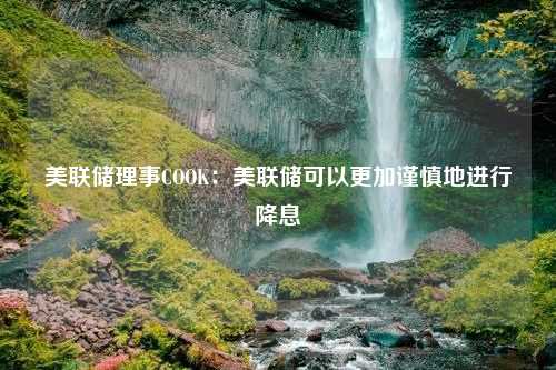 美联储理事COOK：美联储可以更加谨慎地进行降息