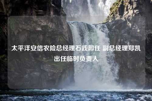 太平洋安信农险总经理石践卸任 副总经理郑凯出任临时负责人