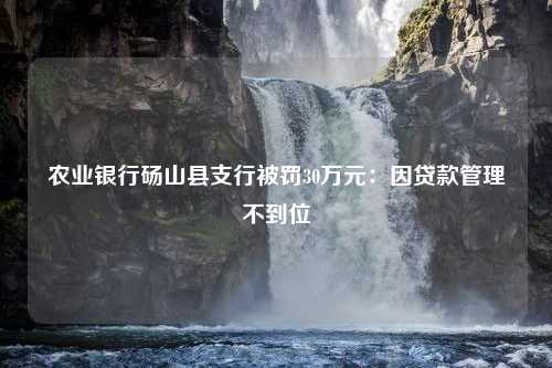 农业银行砀山县支行被罚30万元：因贷款管理不到位