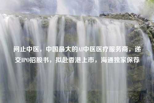 问止中医，中国最大的AI中医医疗服务商，递交IPO招股书，拟赴香港上市，海通独家保荐