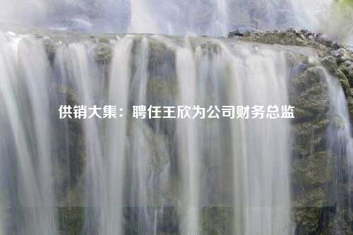 供销大集：聘任王欣为公司财务总监