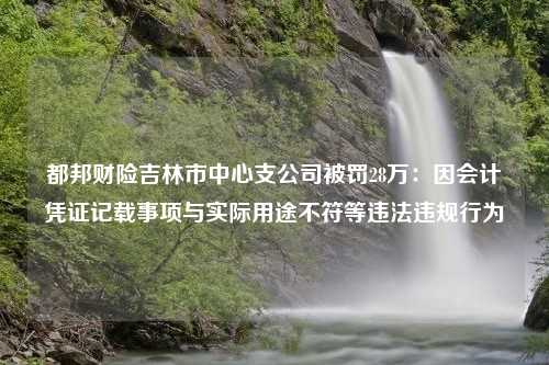 都邦财险吉林市中心支公司被罚28万：因会计凭证记载事项与实际用途不符等违法违规行为