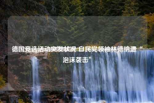 德国竞选活动突发状况 自民党领袖林德纳遭“泡沫袭击”