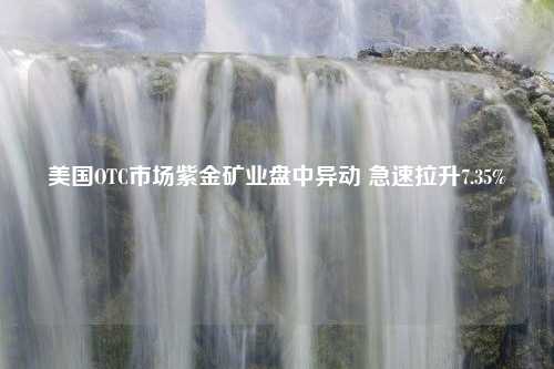 美国OTC市场紫金矿业盘中异动 急速拉升7.35%