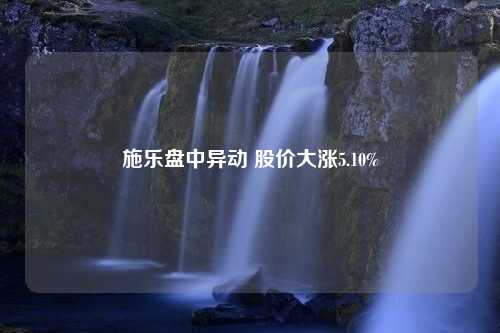 施乐盘中异动 股价大涨5.10%