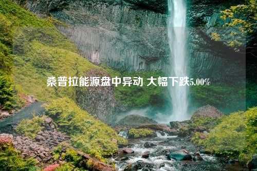 桑普拉能源盘中异动 大幅下跌5.00%