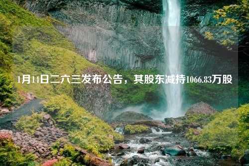 1月14日二六三发布公告，其股东减持1066.83万股