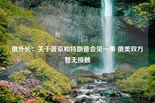 俄外长：关于普京和特朗普会见一事 俄美双方暂无接触