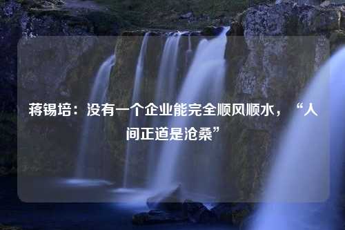 蒋锡培：没有一个企业能完全顺风顺水，“人间正道是沧桑”