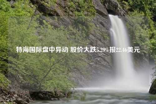 特海国际盘中异动 股价大跌5.29%报22.46美元