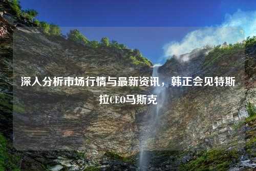 深入分析市场行情与最新资讯，韩正会见特斯拉CEO马斯克