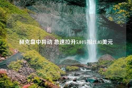 赫克盘中异动 急速拉升5.04%报21.03美元