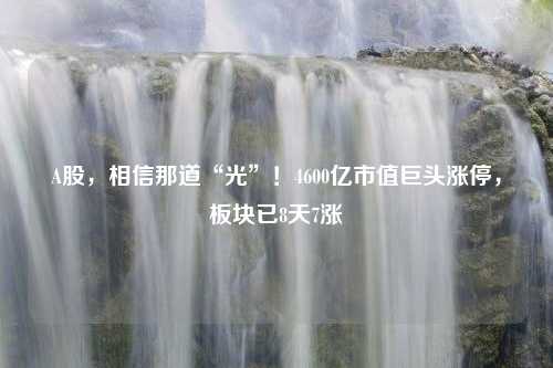 A股，相信那道“光”！4600亿市值巨头涨停，板块已8天7涨