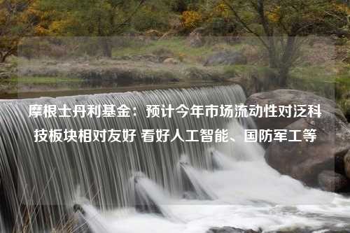 摩根士丹利基金：预计今年市场流动性对泛科技板块相对友好 看好人工智能、国防军工等