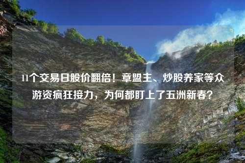 11个交易日股价翻倍！章盟主、炒股养家等众游资疯狂接力，为何都盯上了五洲新春？