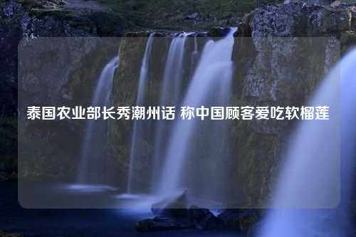 泰国农业部长秀潮州话 称中国顾客爱吃软榴莲