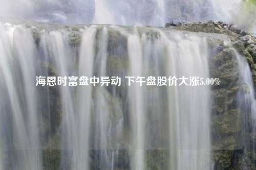 海恩时富盘中异动 下午盘股价大涨5.00%