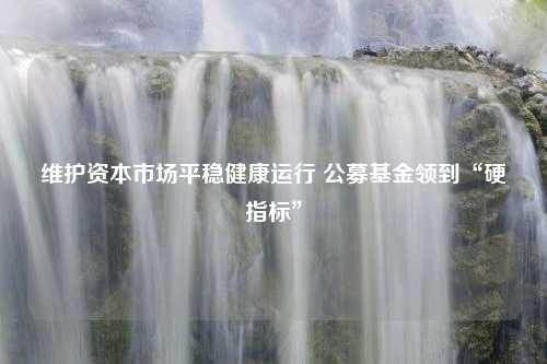 维护资本市场平稳健康运行 公募基金领到“硬指标”