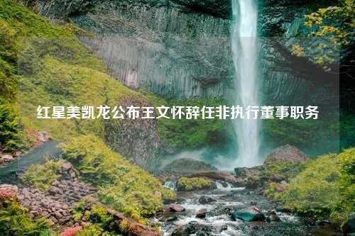 红星美凯龙公布王文怀辞任非执行董事职务