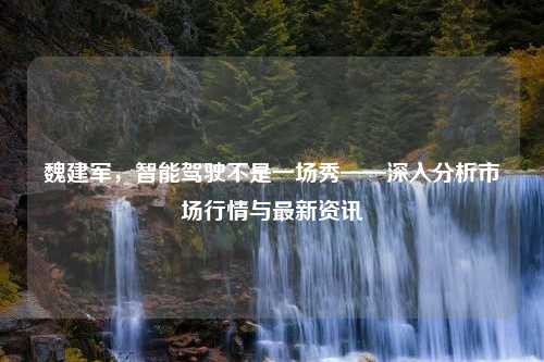 魏建军，智能驾驶不是一场秀——深入分析市场行情与最新资讯