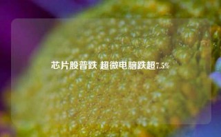 芯片股普跌 超微电脑跌超7.5%