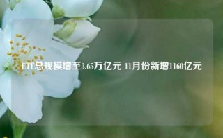 ETF总规模增至3.65万亿元 11月份新增1160亿元