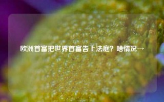 欧洲首富把世界首富告上法庭？啥情况→