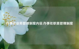 办事处业务管理制度内容,办事处职责管理制度